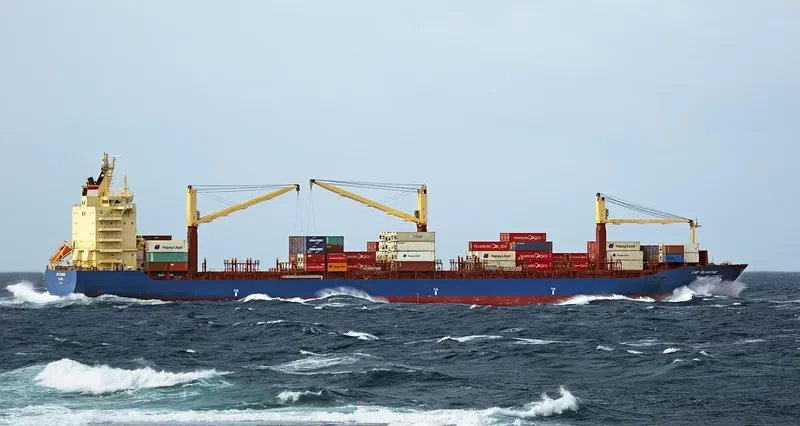 AS CARLOTTA Container Ship IMO 9311775 photo 9
