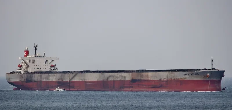TASIK MELATI Bulk Carrier IMO 9311828