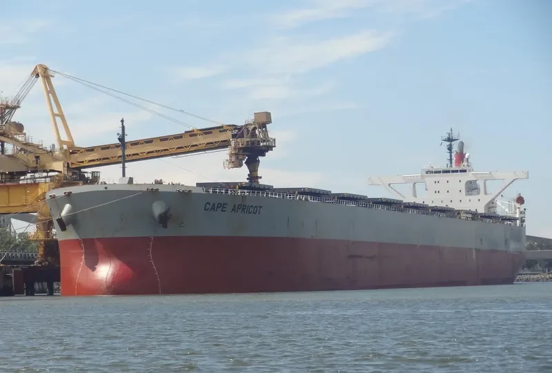 TASIK MELATI Bulk Carrier IMO 9311828 photo 7