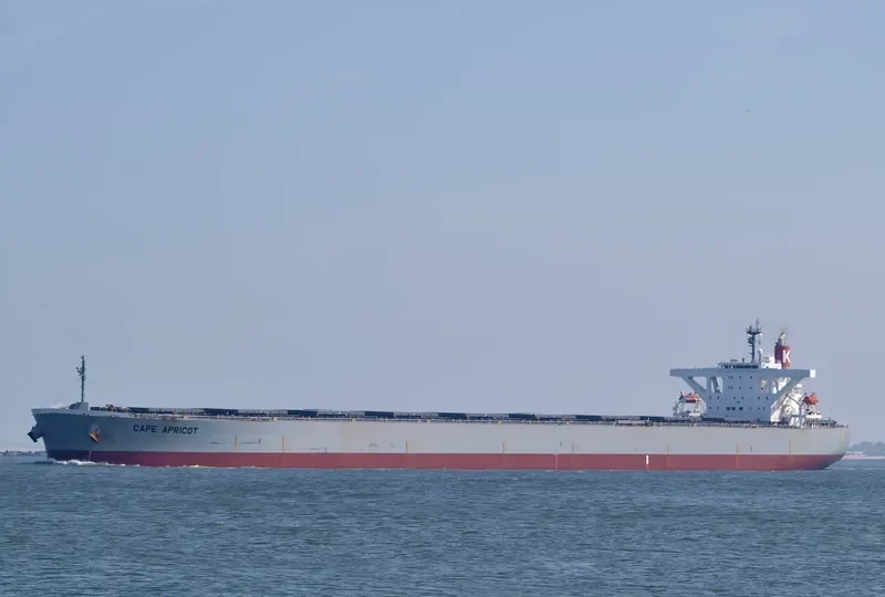 TASIK MELATI Bulk Carrier IMO 9311828 photo 9