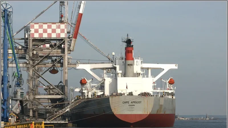 TASIK MELATI Bulk Carrier IMO 9311828 photo 10