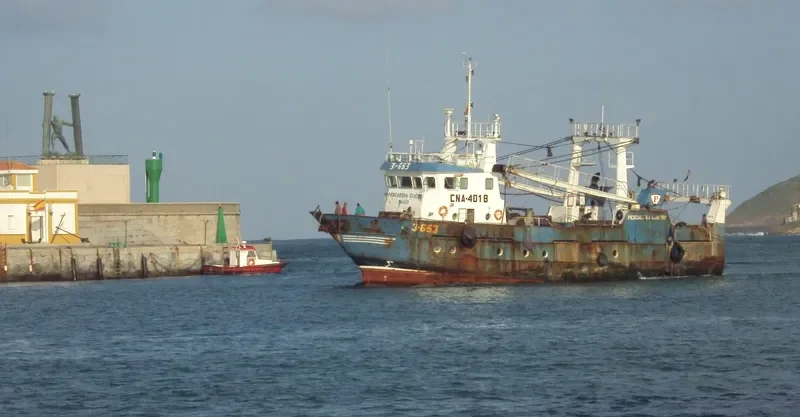 PESCABONA CINCO General Cargo IMO 9312004