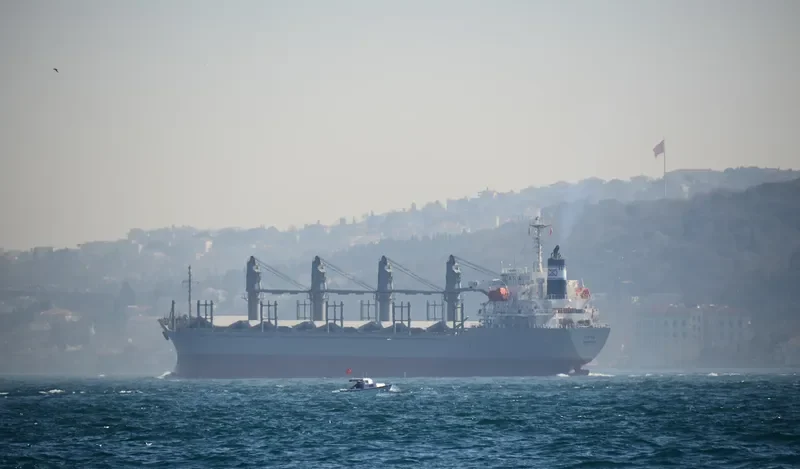 THETIS Bulk Carrier IMO 9312315 photo 8