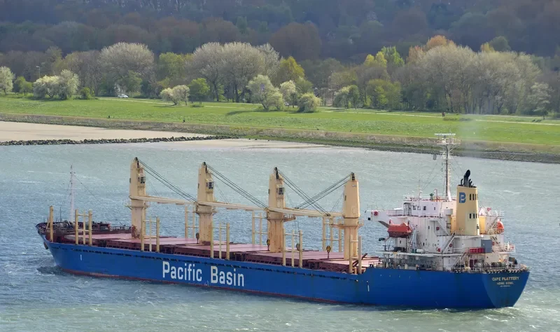 CAPE FLATTERY Bulk Carrier IMO 9312339