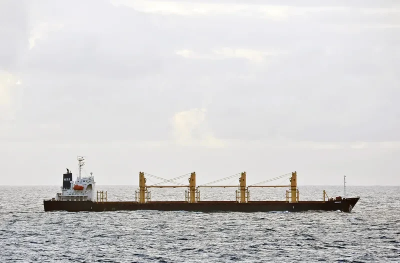AMALIYA Bulk Carrier IMO 9312341