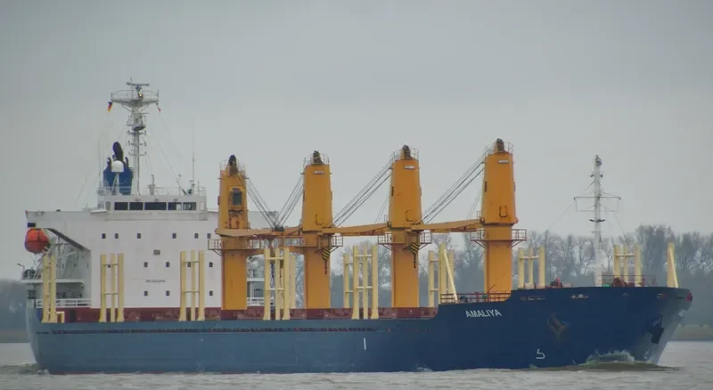AMALIYA Bulk Carrier IMO 9312341 photo 7