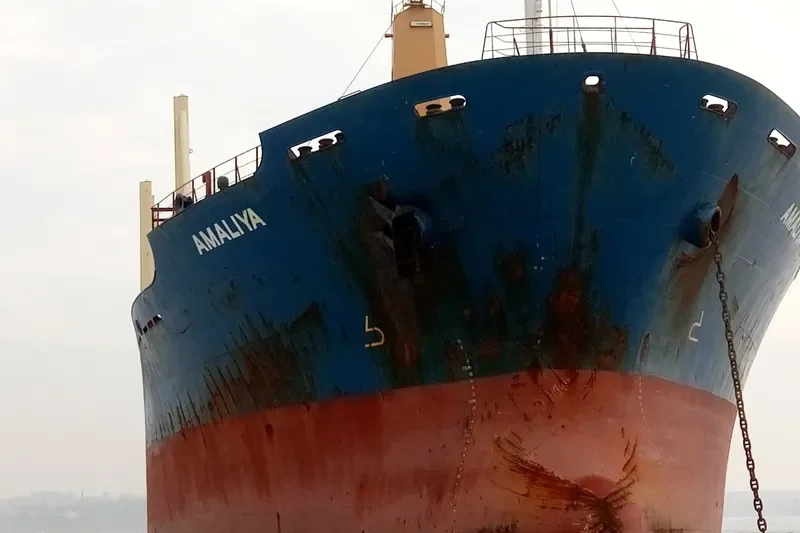 AMALIYA Bulk Carrier IMO 9312341 photo 9