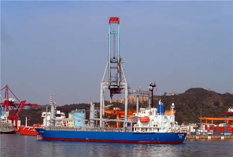 HAI LONG BRAVO General Cargo IMO 9312353 photo 2