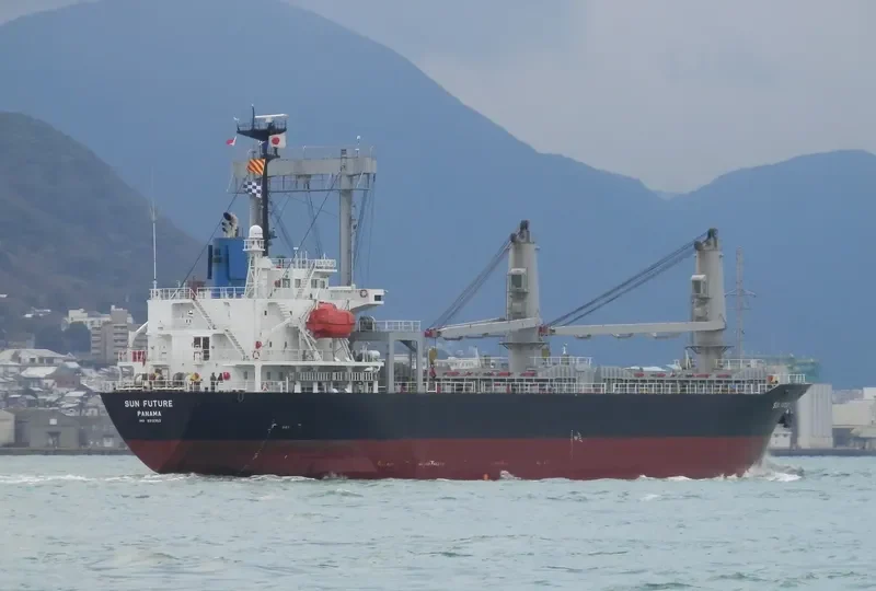HAI LONG BRAVO General Cargo IMO 9312353 photo 3