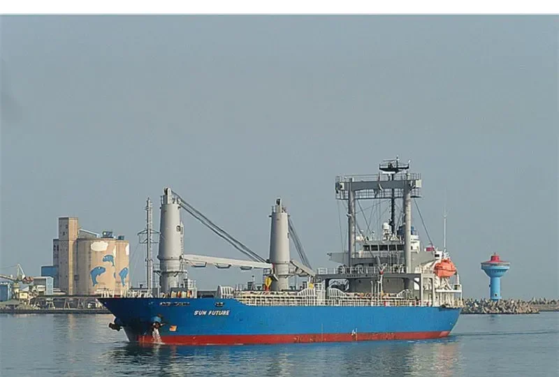 HAI LONG BRAVO General Cargo IMO 9312353 photo 9