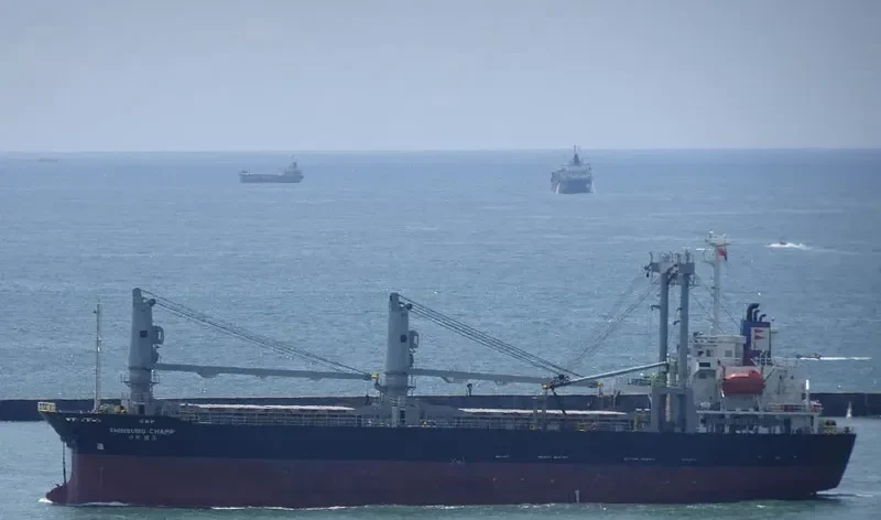 VW PEACE General Cargo IMO 9312365