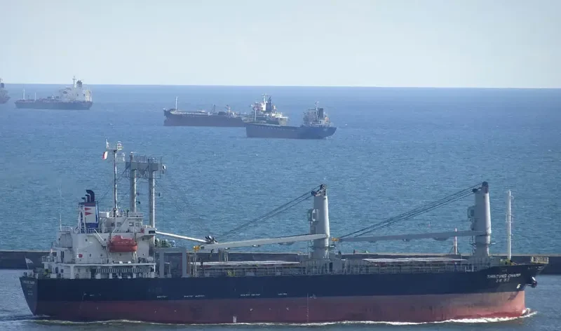 VW PEACE General Cargo IMO 9312365 photo 2