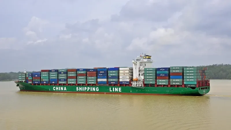 XIN DAN DONG Container Ship IMO 9312597