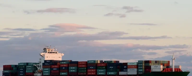 XIN DAN DONG Container Ship IMO 9312597 photo 3