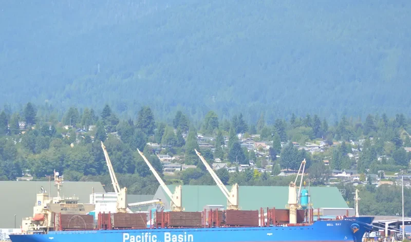 BELL BAY Bulk Carrier IMO 9312664 photo 6