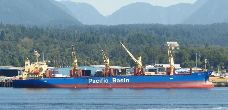 BELL BAY Bulk Carrier IMO 9312664 photo 7