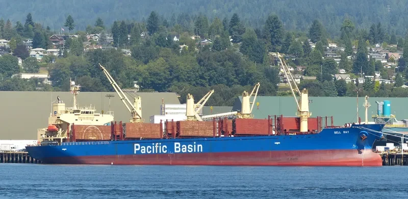 BELL BAY Bulk Carrier IMO 9312664 photo 8