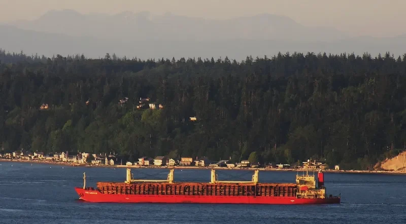 BELL BAY Bulk Carrier IMO 9312664 photo 9