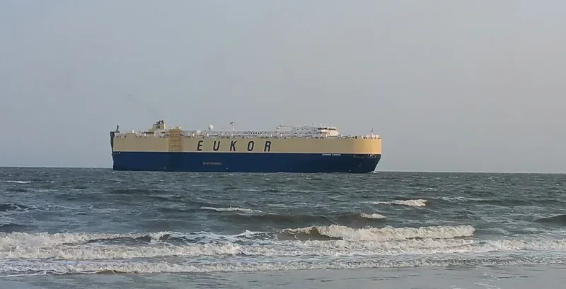 MORNING CHORUS General Cargo IMO 9312834 photo 9