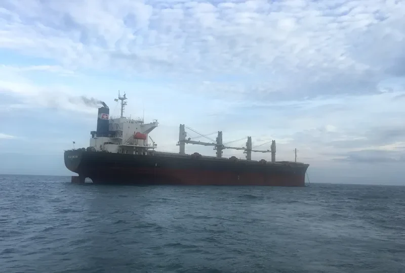 STAR OMICRON Bulk Carrier IMO 9313022