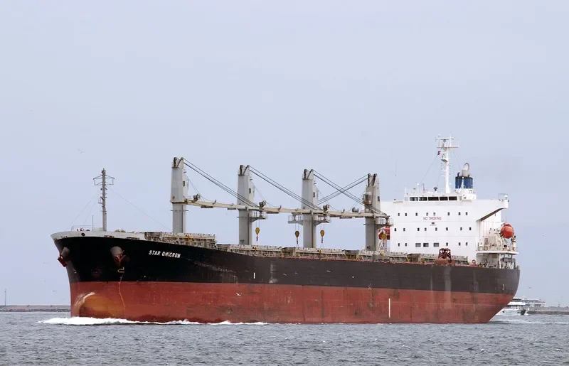 STAR OMICRON Bulk Carrier IMO 9313022 photo 3