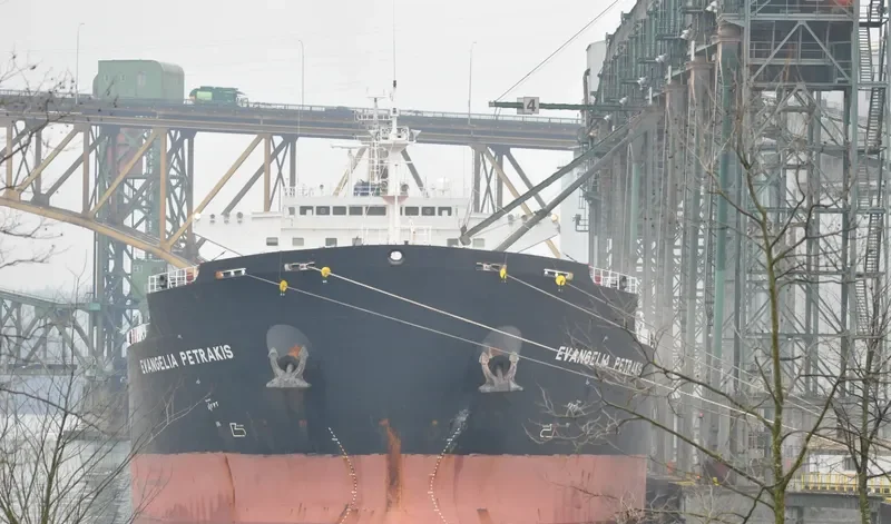 VAN CONTINENT Bulk Carrier IMO 9313060 photo 4