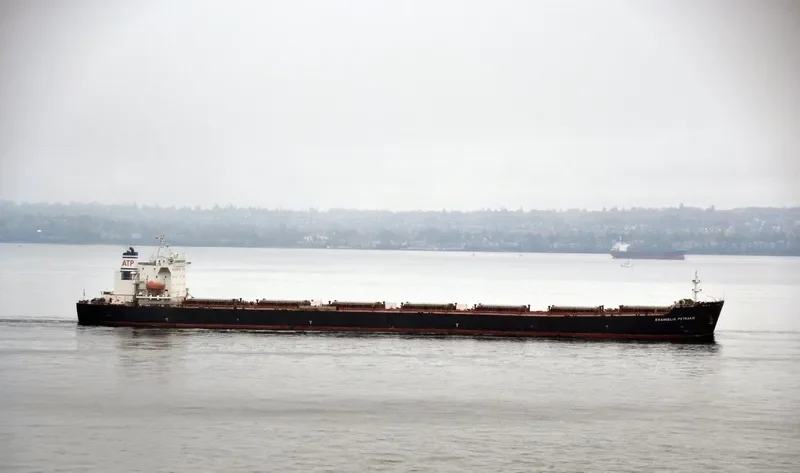 VAN CONTINENT Bulk Carrier IMO 9313060 photo 10