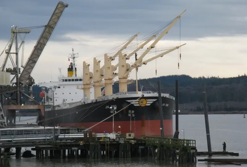 JIN XING Bulk Carrier IMO 9313278 photo 4