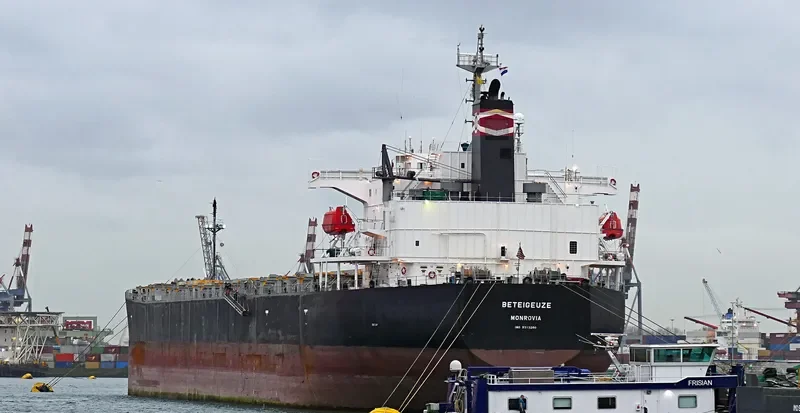 BETEIGEUZE Bulk Carrier IMO 9313280 photo 8