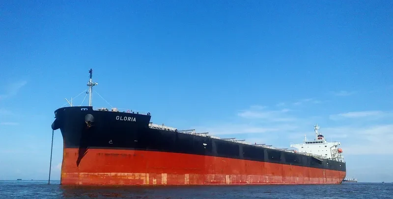 COVENTRY Bulk Carrier IMO 9313307 photo 5