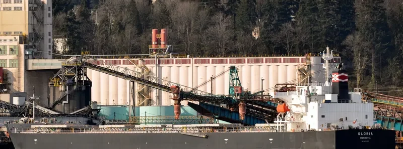 COVENTRY Bulk Carrier IMO 9313307 photo 6