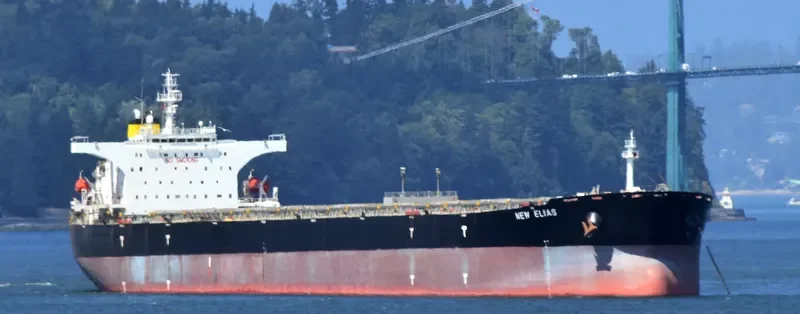 NEW ELIAS Bulk Carrier IMO 9313400 photo 2