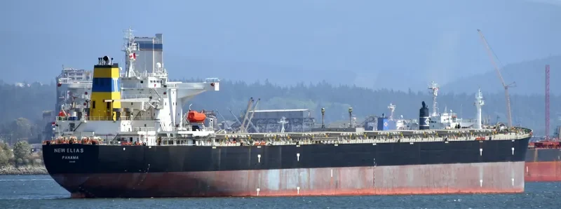 NEW ELIAS Bulk Carrier IMO 9313400 photo 3