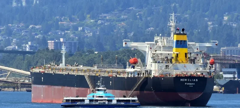 NEW ELIAS Bulk Carrier IMO 9313400 photo 8