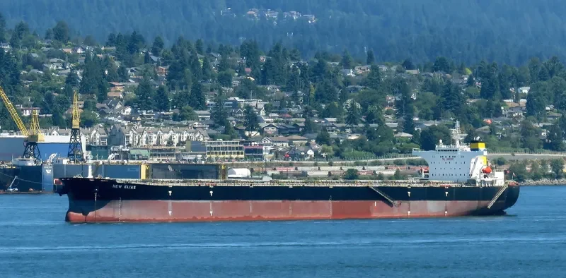 NEW ELIAS Bulk Carrier IMO 9313400 photo 9
