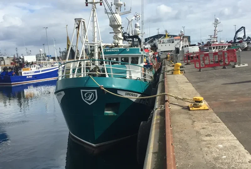 ZEPHYR General Cargo IMO 9314040