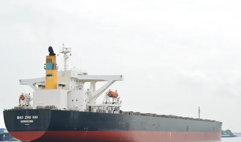 WINNING LOYALTY Bulk Carrier IMO 9314052