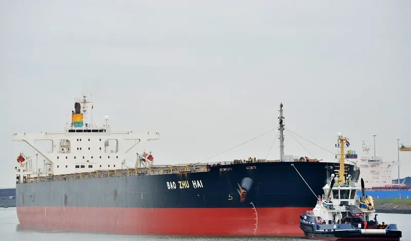 WINNING LOYALTY Bulk Carrier IMO 9314052 photo 3