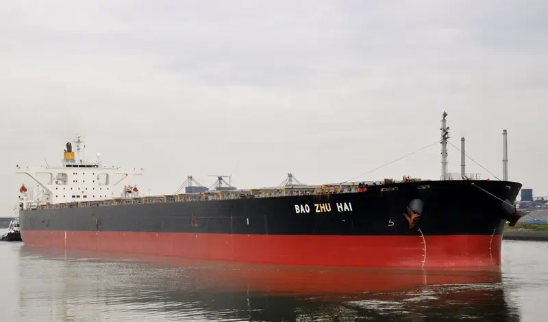 WINNING LOYALTY Bulk Carrier IMO 9314052 photo 9