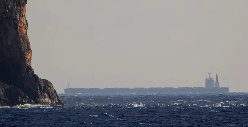 WINNING FAITH Bulk Carrier IMO 9314076 photo 7