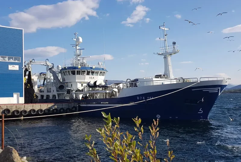 VEA General Cargo IMO 9314454