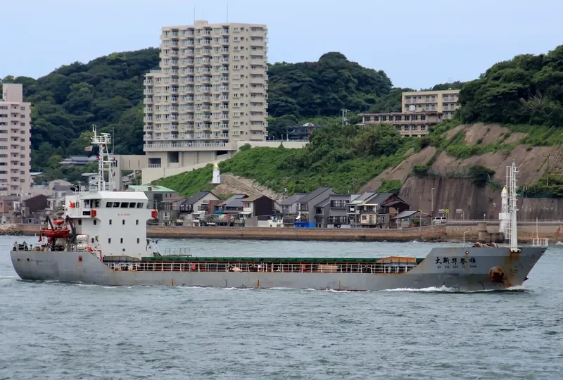 SHENG SHI 1 Bulk Carrier IMO 9314557 photo 7