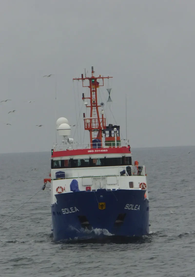 SOLEA General Cargo IMO 9314583 photo 4