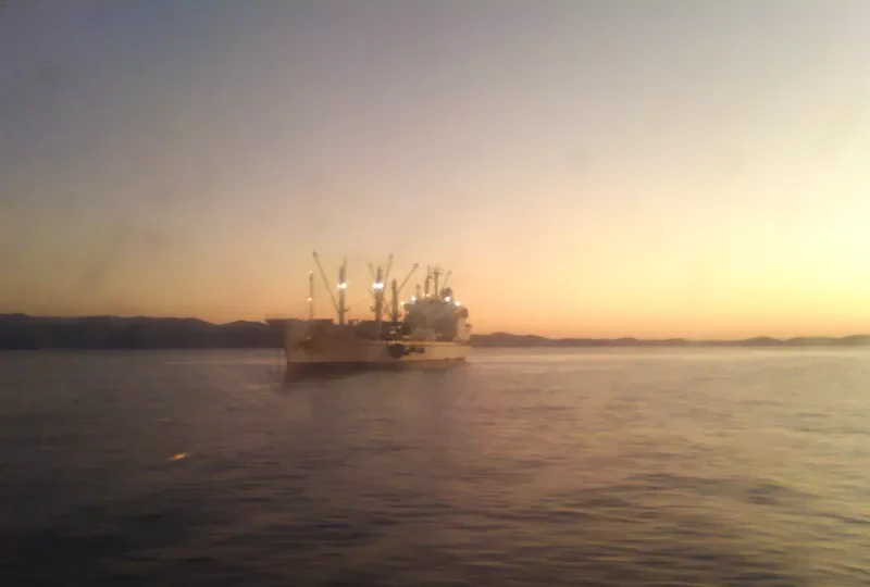 TUNA PRINCESS General Cargo IMO 9314612 photo 5