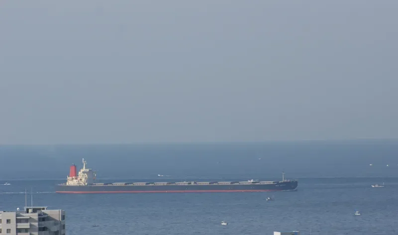 XYMG NOBLE Bulk Carrier IMO 9314674 photo 8