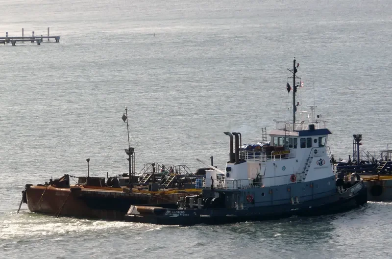DON ALFREDO General Cargo IMO 9314739 photo 2