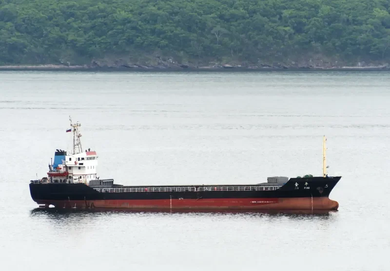 JIN PING Bulk Carrier IMO 9314741 photo 9