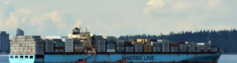 MAERSK SERANGOON Container Ship IMO 9315214 photo 10