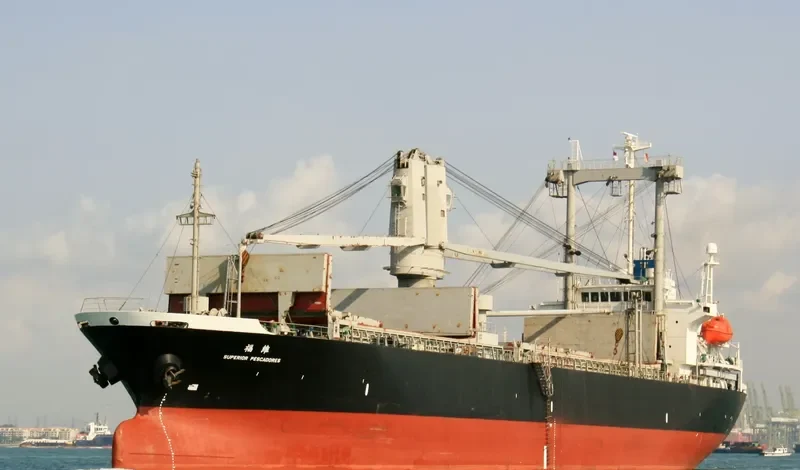 PIONEER IRENE General Cargo IMO 9315484 photo 4