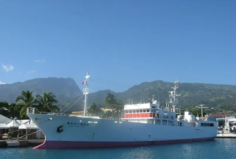 VOSTOK 8 General Cargo IMO 9315587
